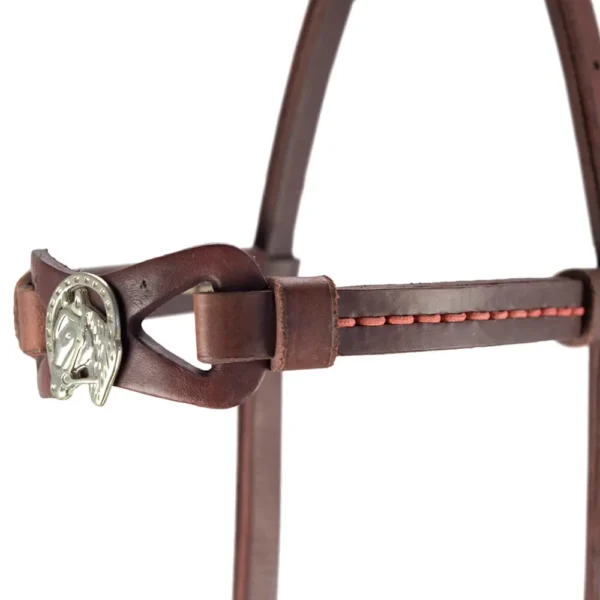 Presentation Halter - Havana - Image 3