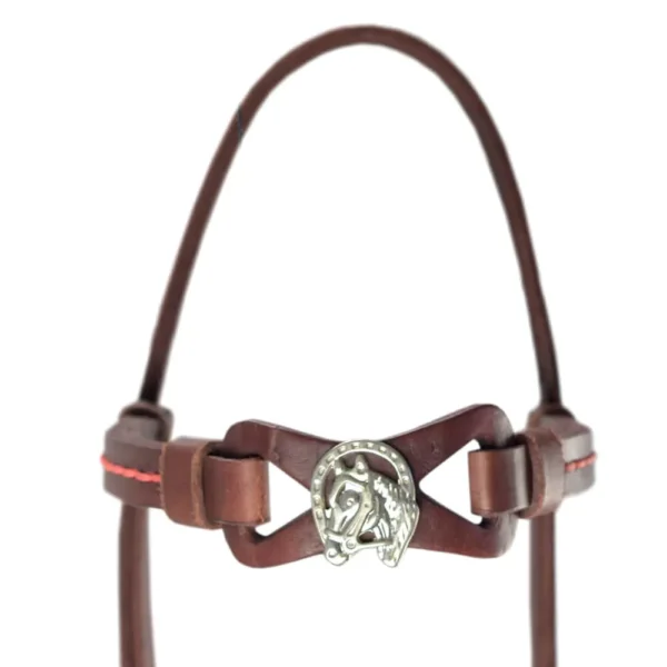 Presentation Halter - Havana - Image 2
