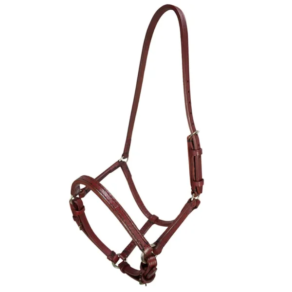 English Leather Halter - Havana - Image 3