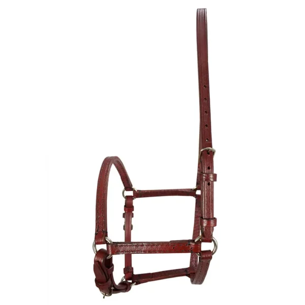 English Leather Halter - Havana - Image 2