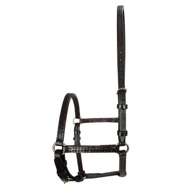 English Halter - Brown - Image 3