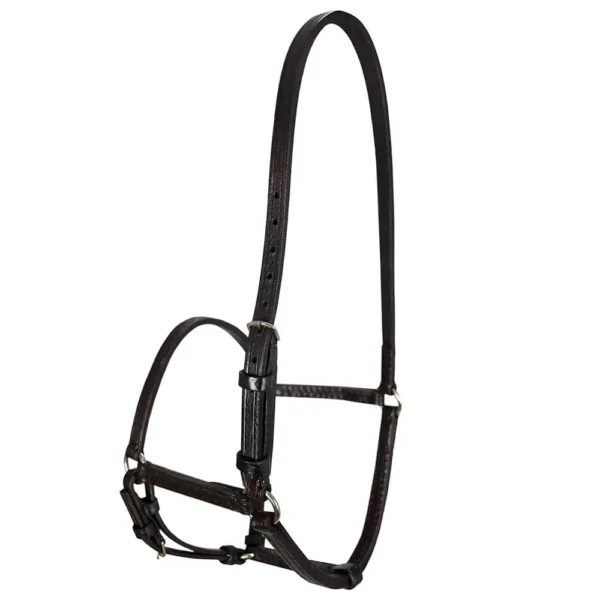 English Halter - Brown - Image 2