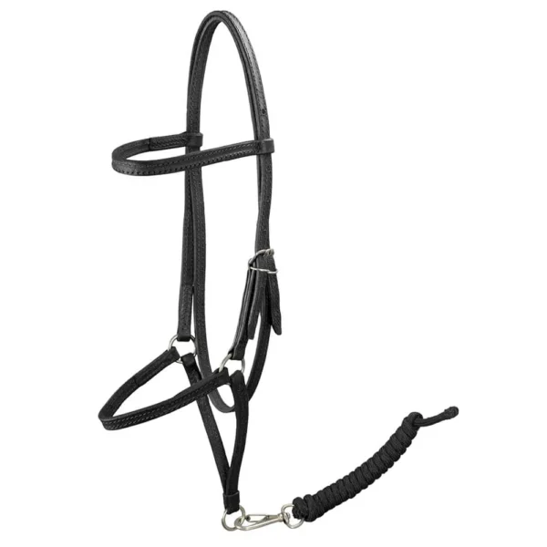 Master Presentation Halter - Black - Image 2