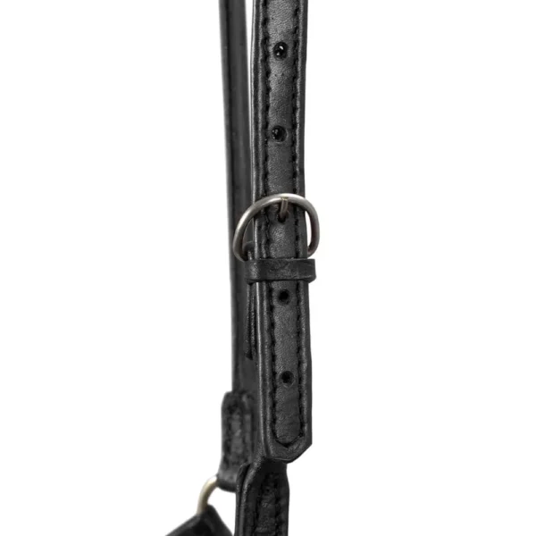 Round Presentation Halter - Black - Image 2