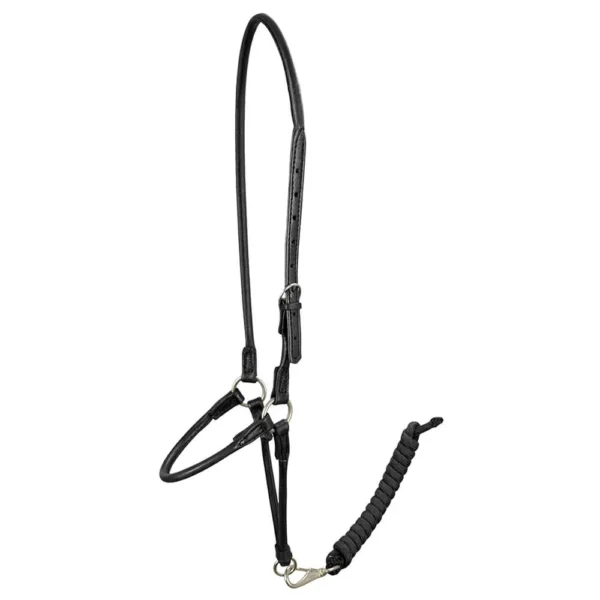 Round Presentation Halter - Black - Image 3