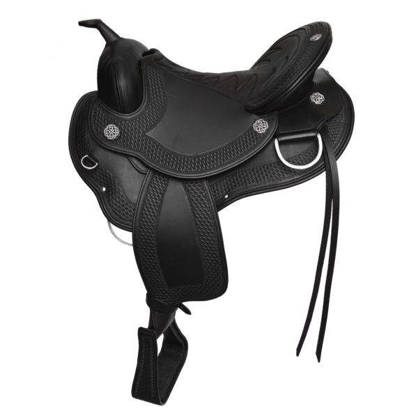 Cadence – Western Dressage - Image 4