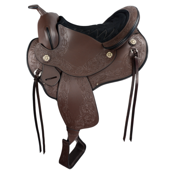 Cadence – Western Dressage - Image 3