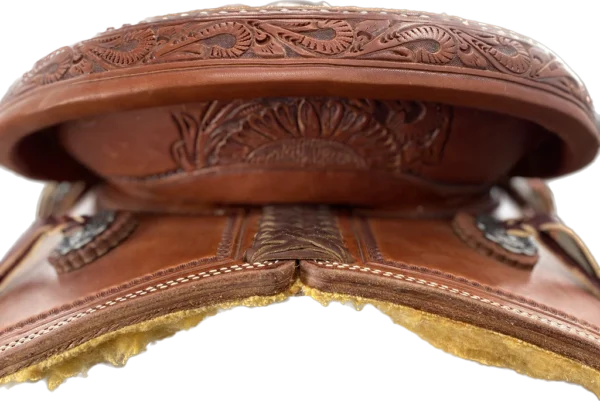 Barrel Racer 15" FQH - Image 4
