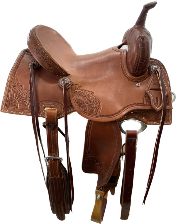 Barrel Racer 15" FQH - Image 3